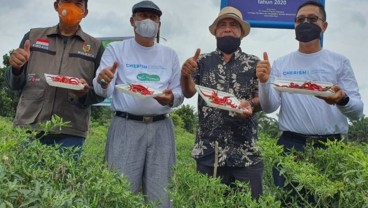 PT CPI Luncurkan Program untuk Riau Sehat dan Sejahtera