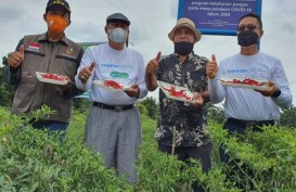 PT CPI Luncurkan Program untuk Riau Sehat dan Sejahtera