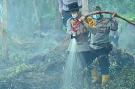 Muncul Titik Api, Enam Hektare Lahan di Inhil, Riau…