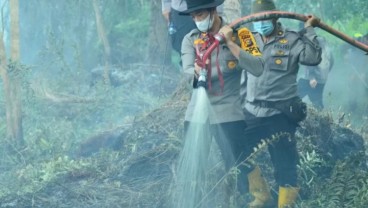 Muncul Titik Api, Enam Hektare Lahan di Inhil, Riau Terbakar