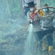Muncul Titik Api, Enam Hektare Lahan di Inhil, Riau Terbakar