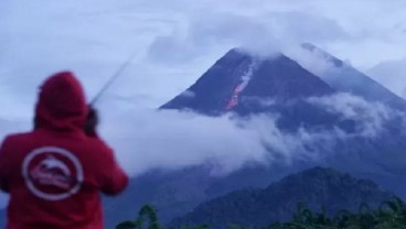 Merapi Luncurkan Guguran Lava Pijar Sejauh 800 Meter