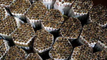 Operasi Peredaran Rokok Ilegal di Jateng Diintensifkan