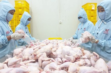 Rampungkan Rumah Potong Ayam, Widodo Makmur Unggas (WMUU) Optimistis Segera Melejit