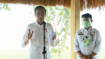 Jokowi: Food Estate di NTT akan Diperluas Hingga 10.000 Hektare