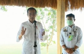 Jokowi: Food Estate di NTT akan Diperluas Hingga 10.000 Hektare