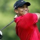 Hormati Tiger Woods, Pegolf Ramai-ramai Berpakaian Merah Hitam