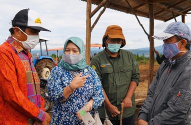 Konstruksi Estate Akan Berdasarkan Karakteristik Daerah 