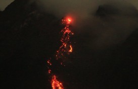 Hari Ini, Gunung Merapi Tercatat 7 Kali Gugurkan Lava Pijar