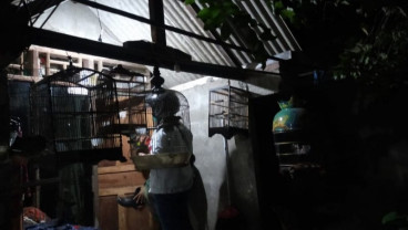 Lagi, Tim Densus 88 Tangkap Seorang Terduga Teroris di Surabaya