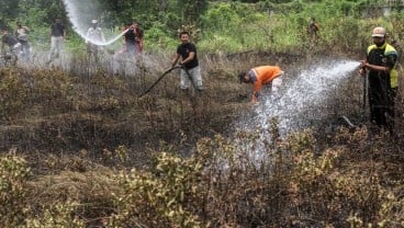 Helikopter KLHK Mulai Padamkan Karhutla di Bengkalis dan Rokan Hilir