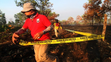 Kebakaran di Pontianak Landa 40 Hektare Lahan Gambut