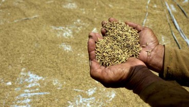 Subang Belum Miliki Cadangan Pangan Pemerintah Daerah