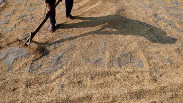 Jaga Stabilitas Harga, Petani Gabah Manfaatkan Sistem Resi Gudang 
