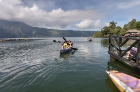 Letupan Belerang di Danau Batur, 11.950 Kg Ikan Mati…