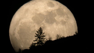 10 Fakta Bulan yang Mengejutkan