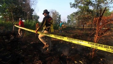 Antisipasi Kabut Asap, Masyarakat Diminta Membatasi Aktivitas