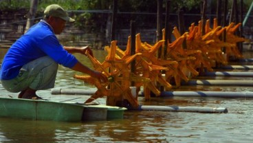 Kebutuhan Kincir Air Tambak Udang Capai 1,5 Juta Unit