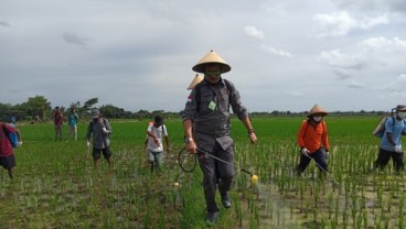 Boyolali Bisa Jadi Lokomotif Peningkatan Pertanian, Ini Alasannya