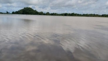 373 Hektare Sawah di Sukoharjo Gagal Panen Akibat Banjir