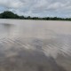 373 Hektare Sawah di Sukoharjo Gagal Panen Akibat Banjir