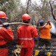 Karhutla Aceh, Tim Gabungan Waspadai Bara Api di Bawah Permukaan