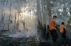Penegakan Hukum, Polda Riau Sudah Menahan 8 Pelaku Pembakar Lahan 