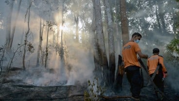 Penegakan Hukum, Polda Riau Sudah Menahan 8 Pelaku Pembakar Lahan 