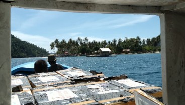 Petugas di Bandara Juanda Temukan 29.250 Benih Lobster