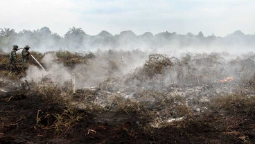Bencana Kabut Asap di Riau Berpotensi Terulang Kembali