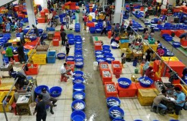 Harga Ikan Naik, Perindo: Jangan Panic Buying, Mei–Juni Bakal Normal
