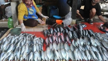 Begini Cara Perum Perindo Stabilisasi Harga Ikan