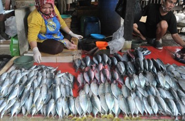 Begini Cara Perum Perindo Stabilisasi Harga Ikan