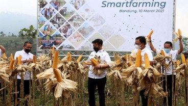 Millenial Smartfarming, Upaya BNI Digitilisasi Pertanian Bersama Pemuda