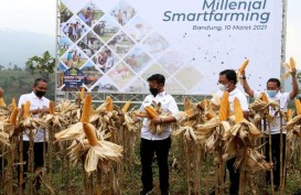 Millenial Smartfarming, Upaya BNI Digitilisasi Pertanian Bersama Pemuda