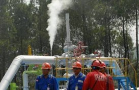 Pertamina Geothermal Energy Kelola 15 Wilayah Kerja Panas Bumi
