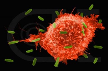 Mengenal 2 Imunitas Tubuh yang Harus Dijaga