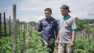 Genjot Produktivitas Petani, Pupuk Kujang Terjunkan Tim Riset untuk Pendampingan