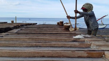 Petani Garam di Pantai Dadapayam dan Sepanjang Berhenti Beroperasi