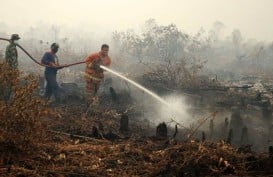 9 Pelaku Karhutla di Riau Berhasil Ditangkap, Motifnya Faktor Ekonomi