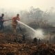 9 Pelaku Karhutla di Riau Berhasil Ditangkap, Motifnya Faktor Ekonomi