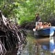 Inggris Gelontorkan Rp3 Triliun untuk Hutan Tropis di Dunia Termasuk Indonesia