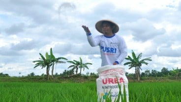 Inovasi Pupuk Batu Bara Indonesia Bakal Diproduksi di Nigeria