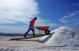 Impor Garam, Industri Mamin Bakal Serap Garam Rakyat 131.000 Ton