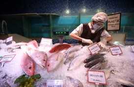 KKP Pastikan Pasokan Ikan selama Ramadan 2021 Aman