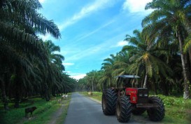 CALON EMITEN : TAP Agri Bakal Go Public