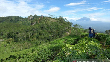 Kulon Progo Benahi Jalan ke Borobudur Highland