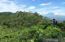 Kulon Progo Benahi Jalan ke Borobudur Highland