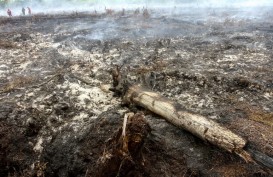 Riau Belum Terima Pengajuan Pinjaman Alat Berat untuk Buka Lahan