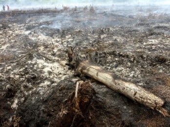 Riau Belum Terima Pengajuan Pinjaman Alat Berat untuk Buka Lahan